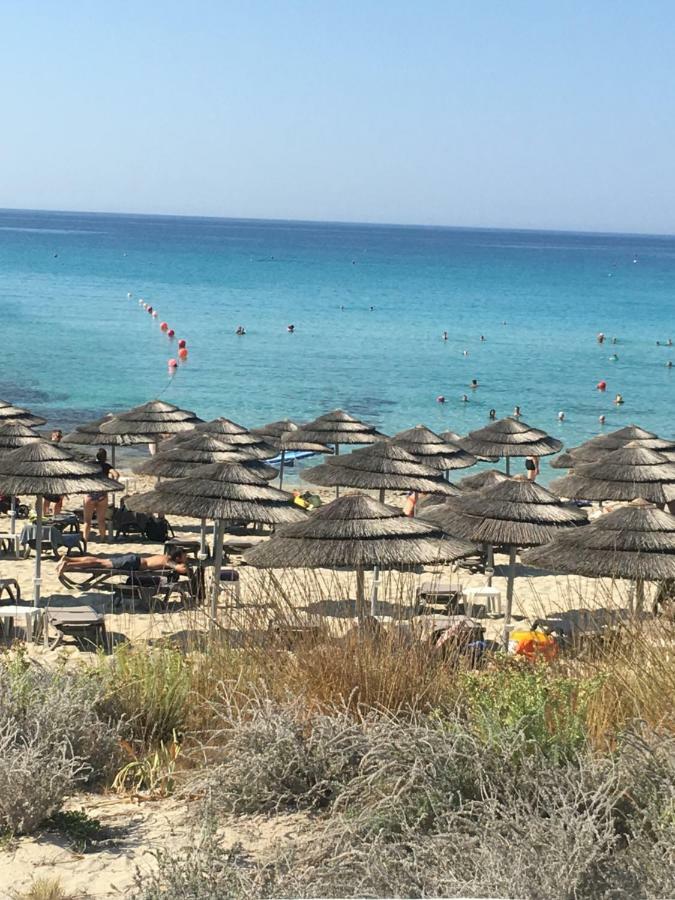 Narcissos 'nissi Beach' C12 Appartement Ayía Nápa